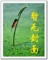 云影天光